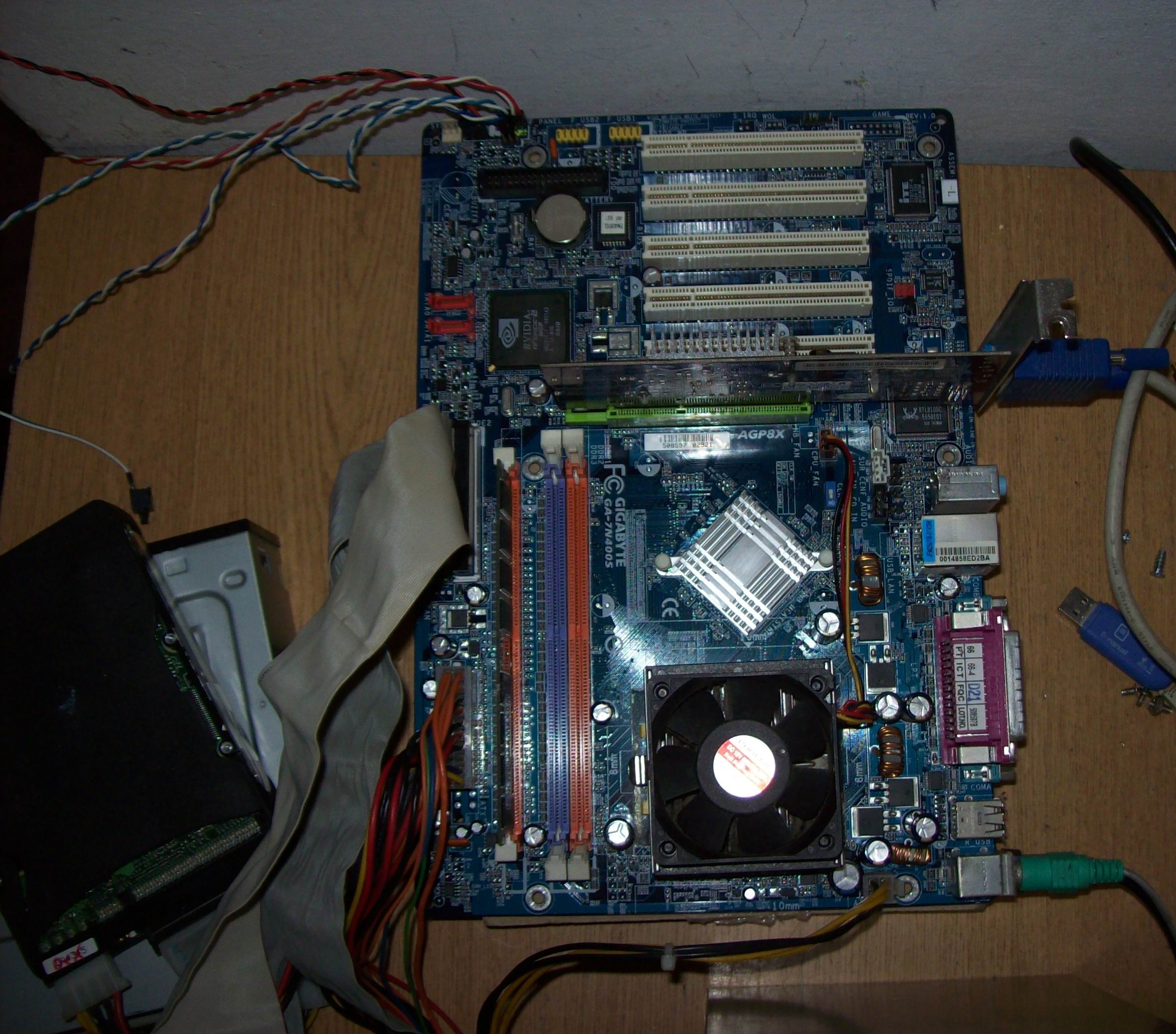 100_9249.JPG