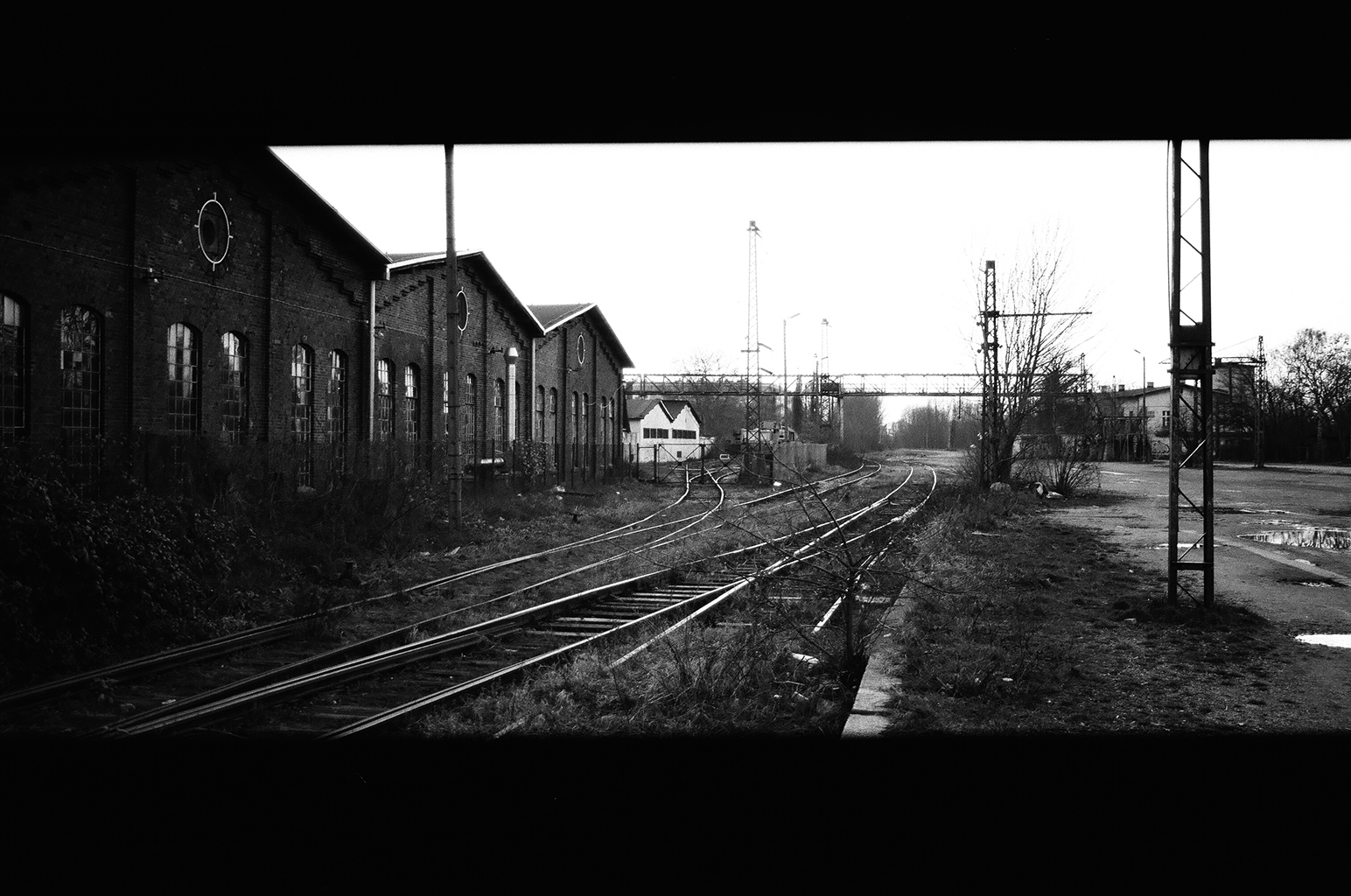 Ilford Delta 100