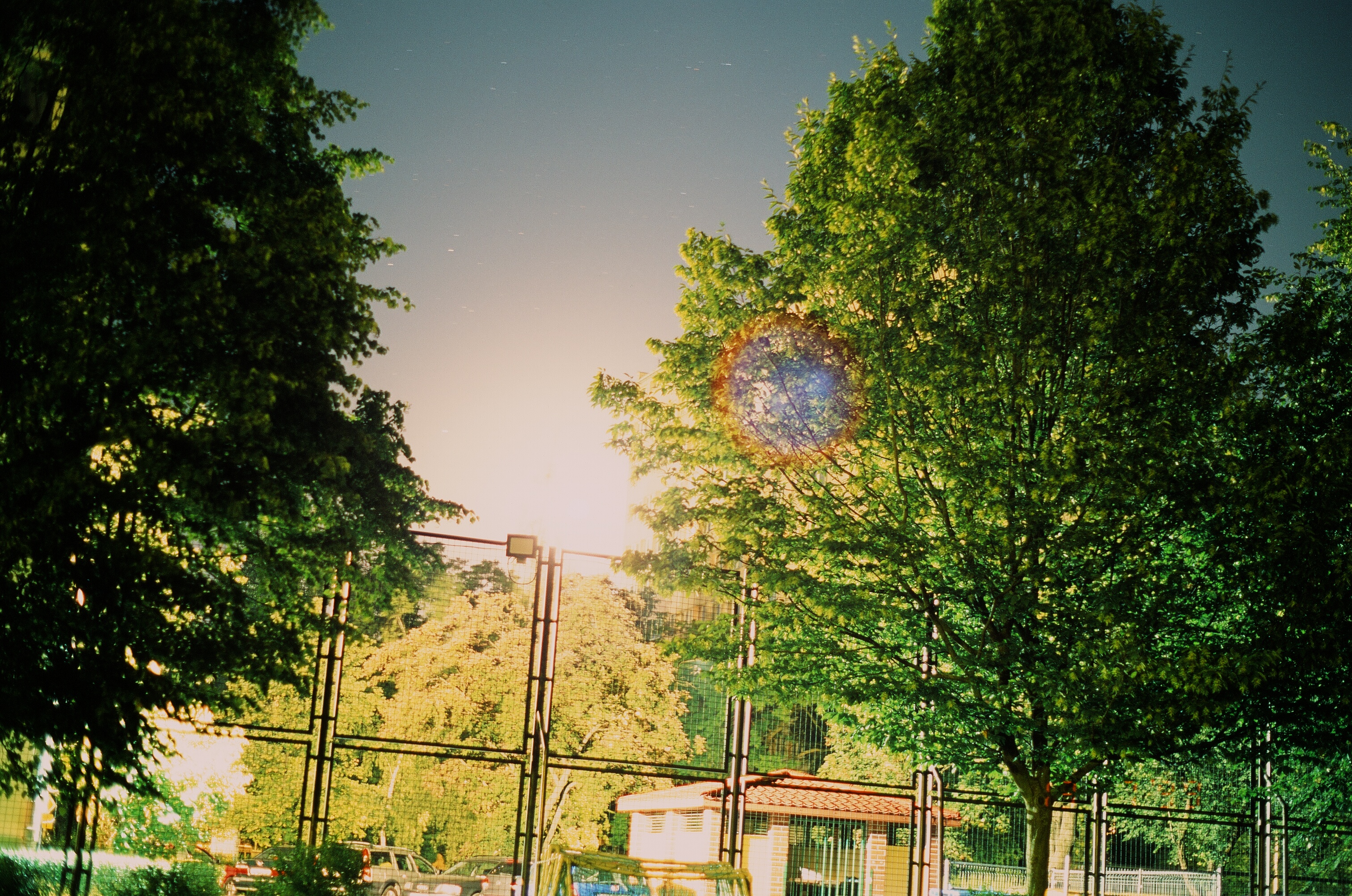 Fujifilm Fujichrome Provia 100F