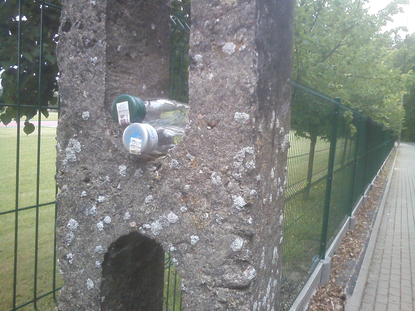 CAM00151.jpg