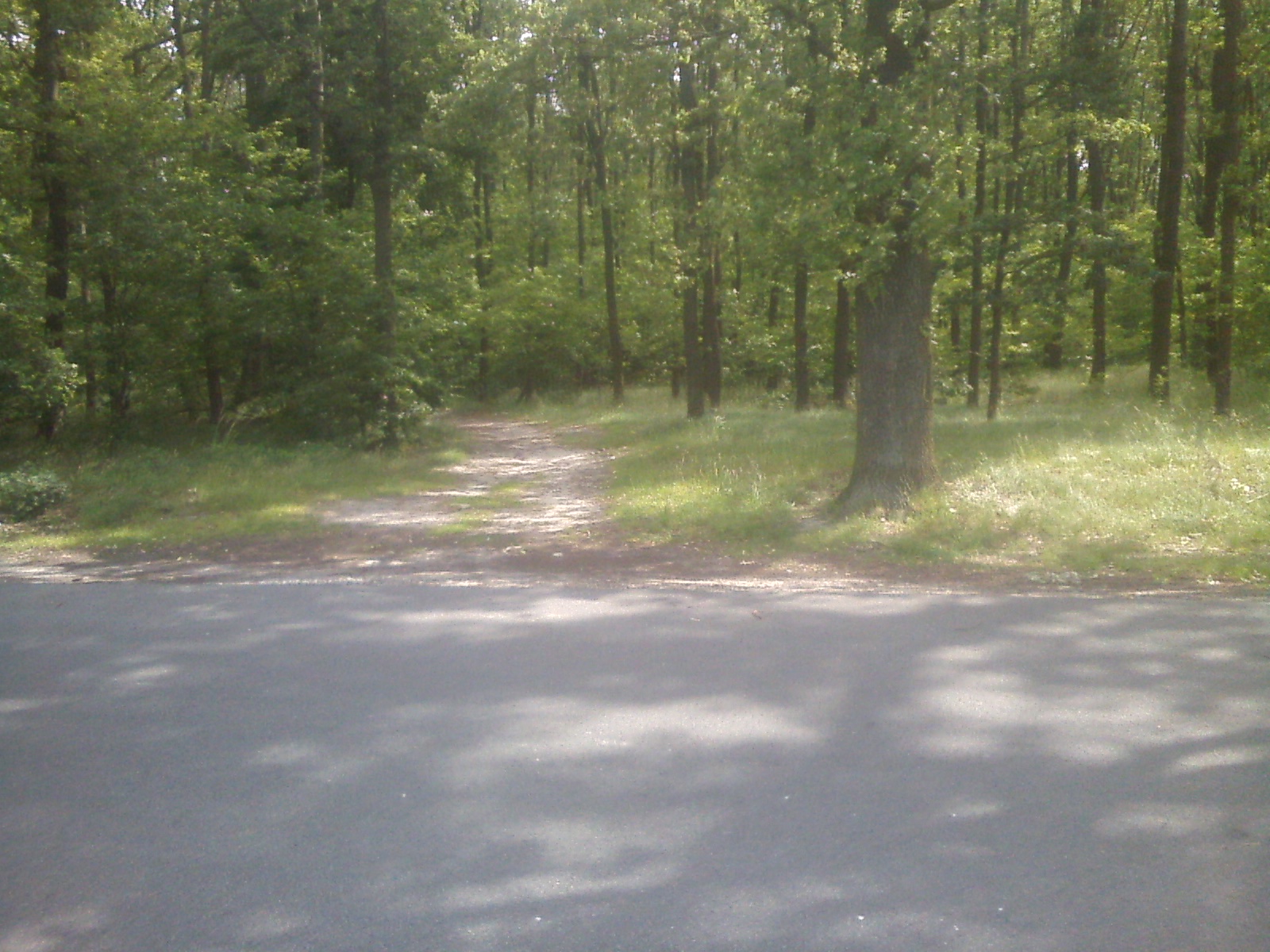 CAM00153.jpg