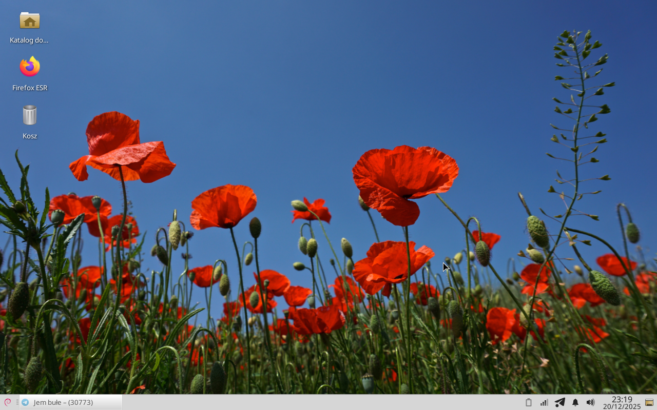 Przechwycenie obrazu ekranu_2025-12-21_00-19-51.png